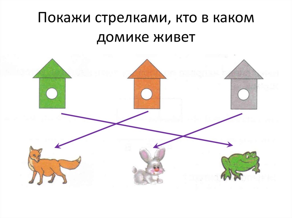 План пути к домику лисы карта путешествий