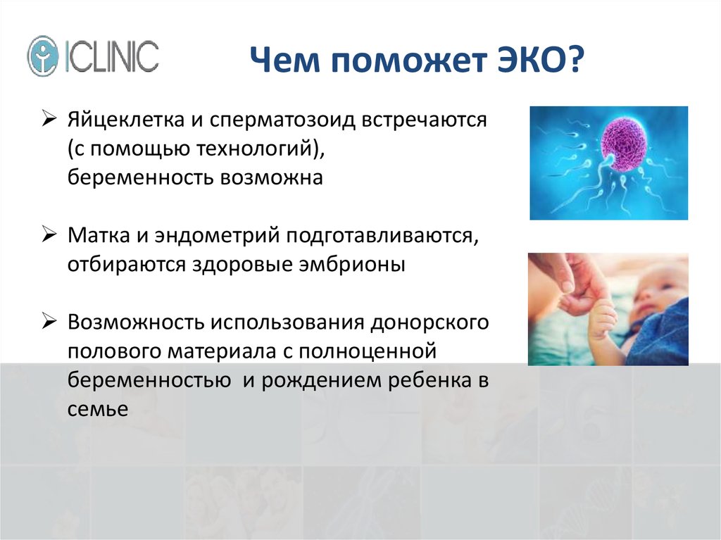 Дети с помощью эко. Эко презентация. Психологическая поддержка презентация. Донорская яйцеклетка при эко. Помощь психолога эко.