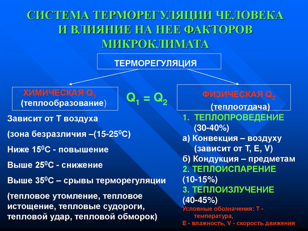 Факторы влияющие на температуру. Система терморегуляции организма человека. Микроклимат и терморегуляция. Терморегуляция организма человека гигиена. Факторы терморегуляции.