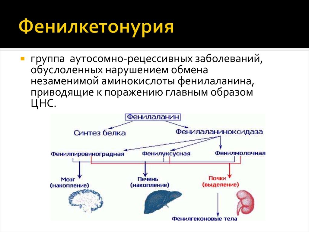 Фенилкетонурия генотип. Фенилкетонурия распространенность. Биохимические проявления фенилкетонурия. Фенилкетонурия биохимия симптомы.