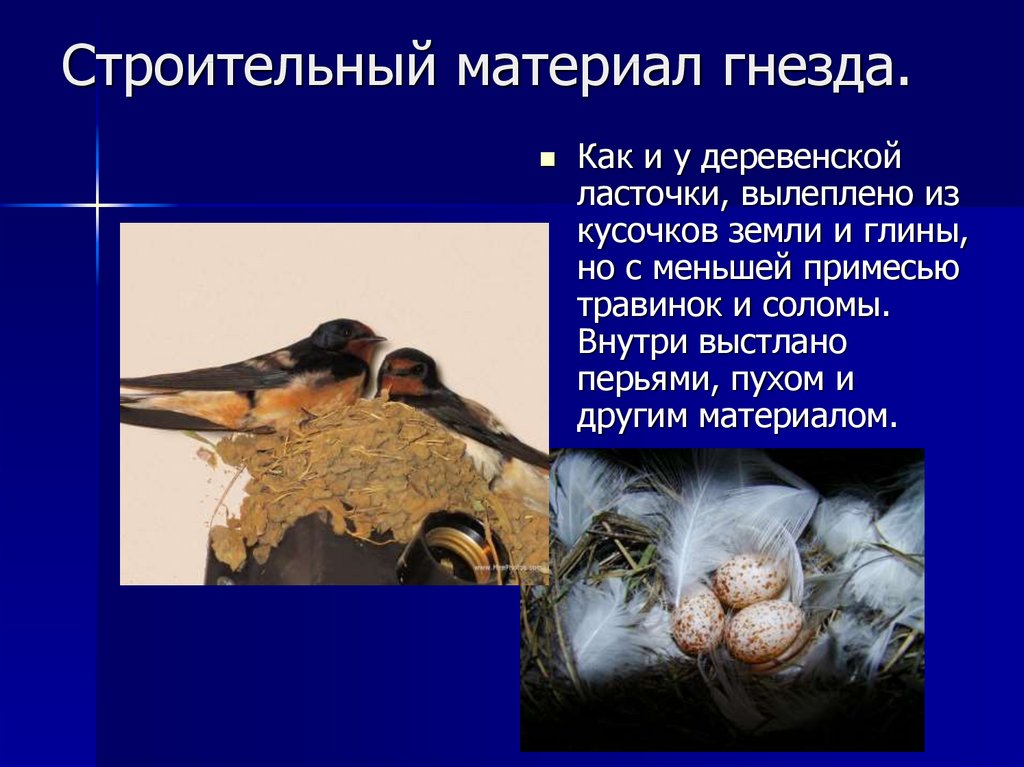 Строительный материал гнезда.