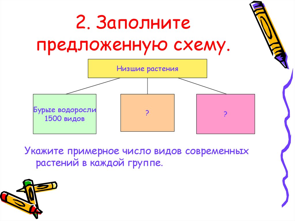 Заполните схему многообразие растений укажите также примерное число
