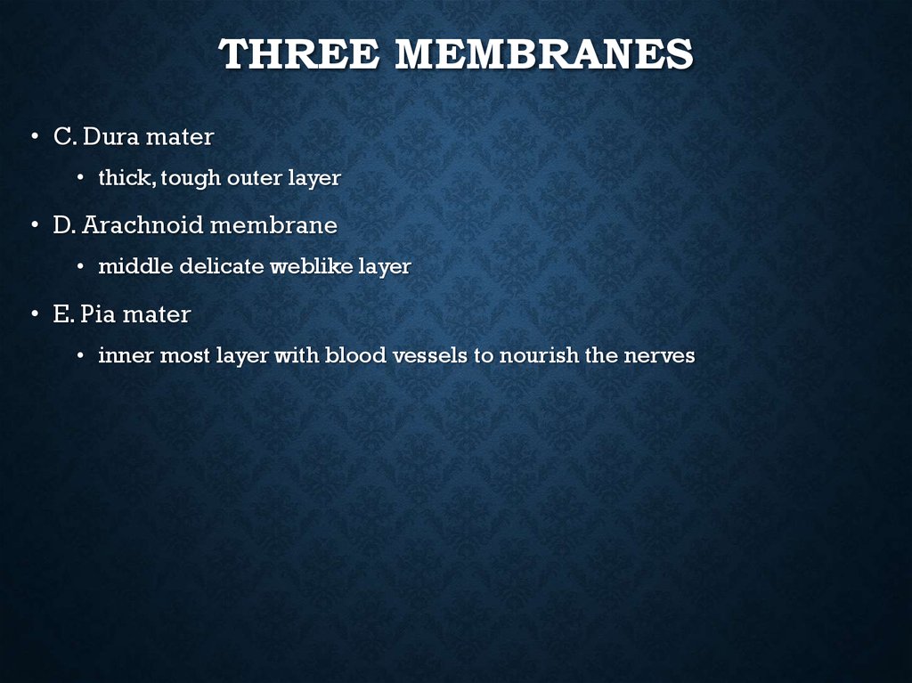 Three Membranes