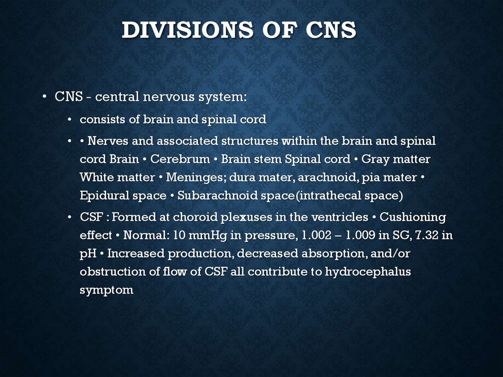 Divisions of CNS