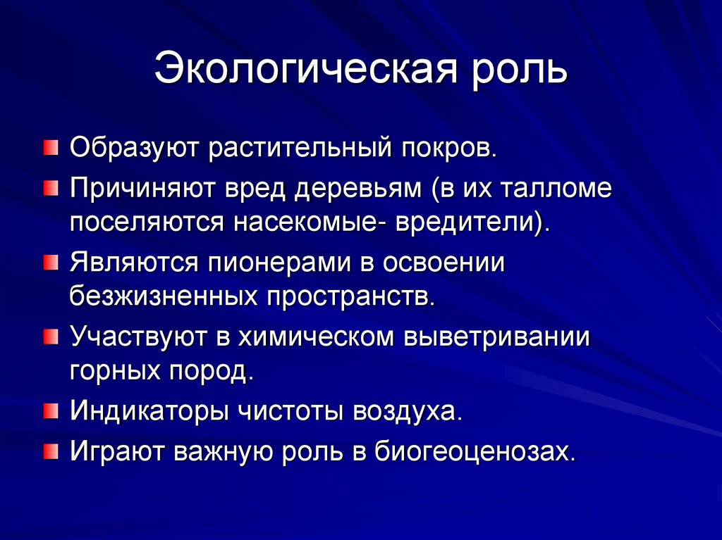 Роль экологии в формировании современной картины мира в практической деятельности людей