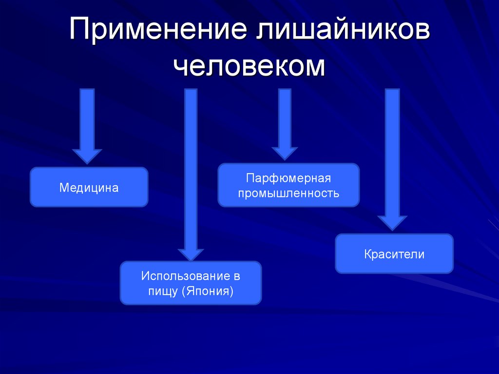 Схема роль лишайников в природе и жизни человека