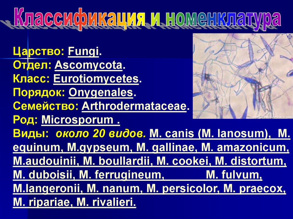 Дерматомикозы вакцина