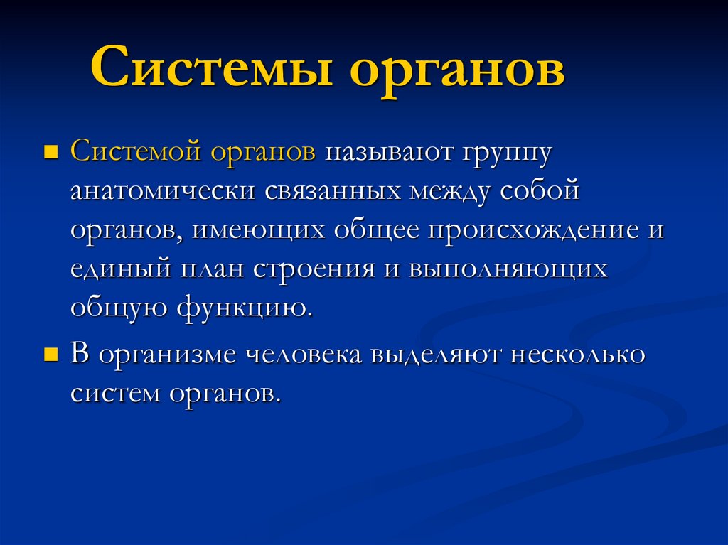 Органы имеющие общее происхождение единый план строения выполняющие общую функцию