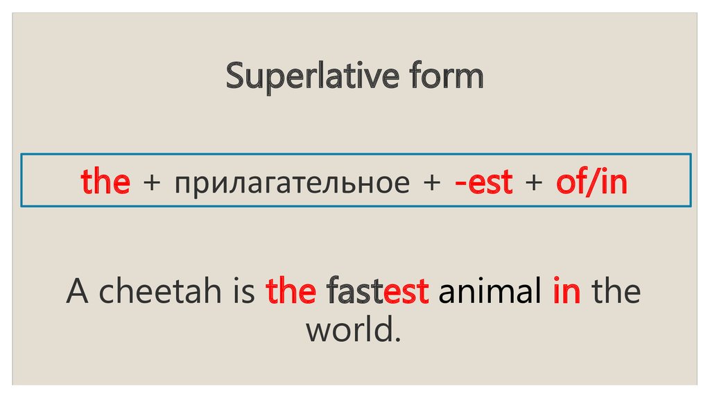 High superlative form. Superlative form. Intelligent Superlative form. Active Superlative form. Trendy Superlative form.
