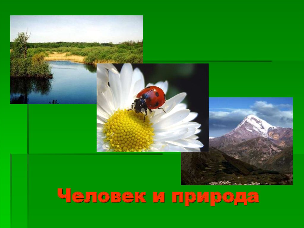 Презентация природа 8 класс