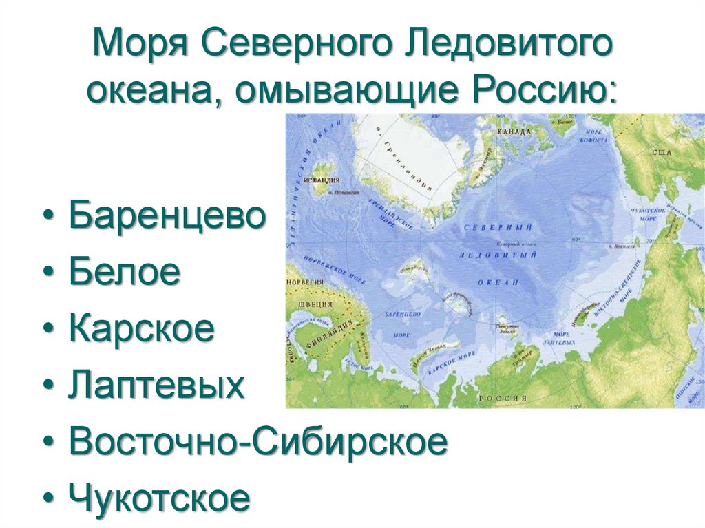 Моря северного ледовитого океана находятся на. Моря омывающие северно Ледовитый океан. Моря Северного Ледовитого океана омывающие Россию. Окраинные моря Северного Ледовитого океана. Моря североледовитого лкеана.