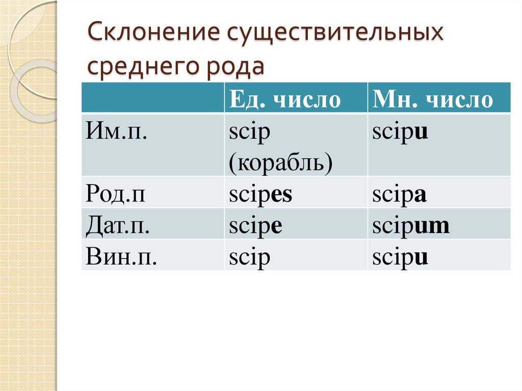 Десять существительных среднего рода на