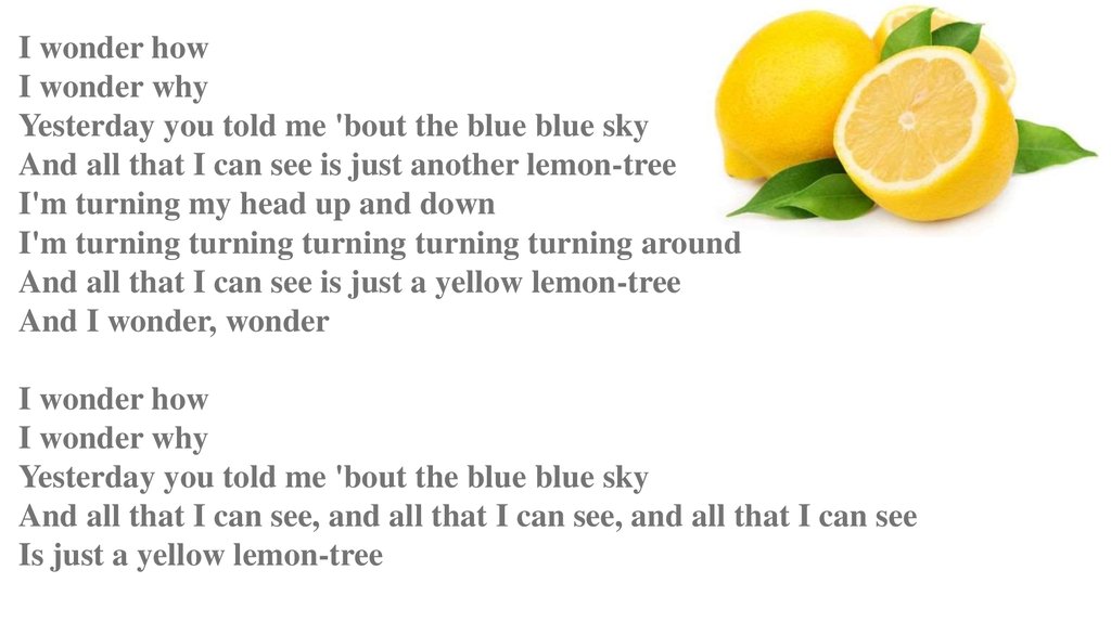 Lemon tree lyrics. Битлз лимонное дерево. Lemon Tree Fool's Garden. Lemon Tree текст. Yellow Lemon Tree текст.