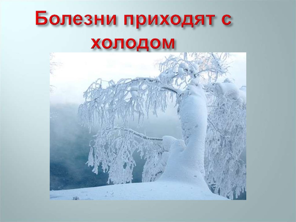 Пришел болезни. Названия связанные с холодом. Вопросы связанные с холодом. Пришли холода. Клички связанные с холодом.