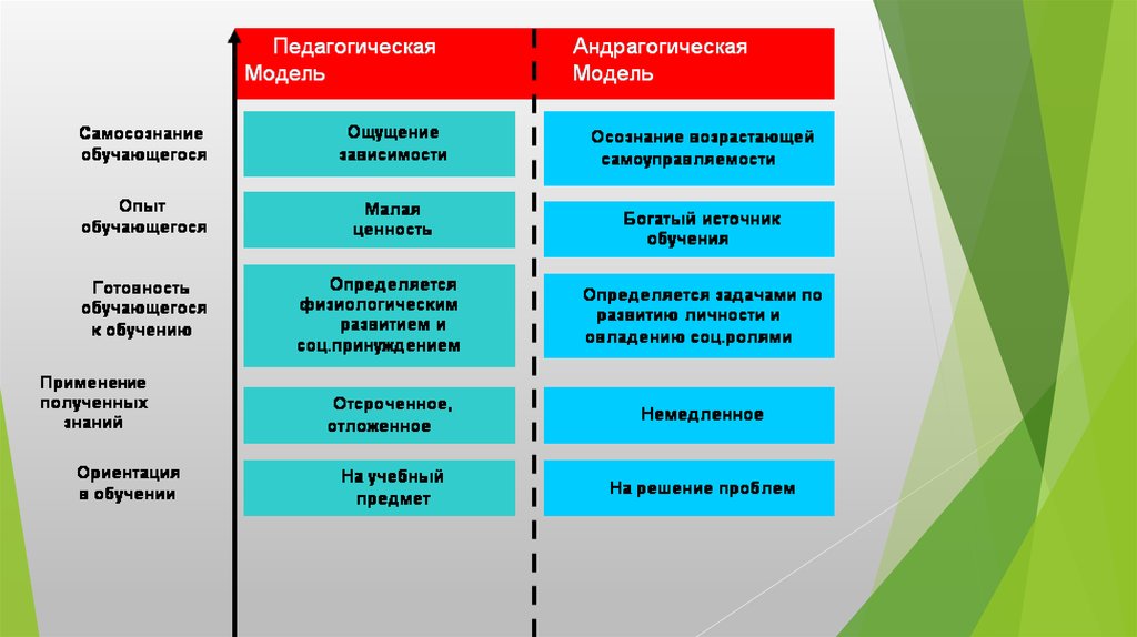 Основные типы образования человека