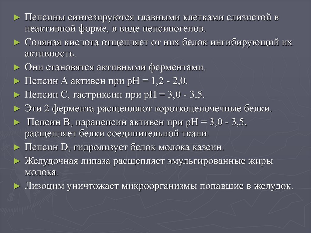 Активный фермент пепсина. Пепсин анатомия. Соляная кислота вырабатывается клетками. Соляная кислота б) отщепляет от пепсиногена полипептид-ингибитор.