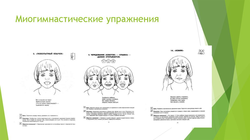 Миогимнастические упражнения