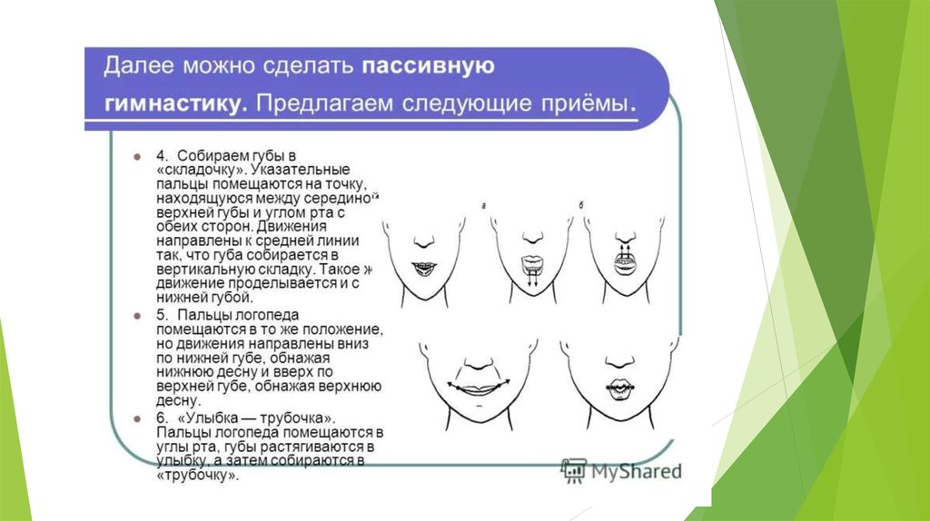 Презентация миогимнастика в ортодонтии