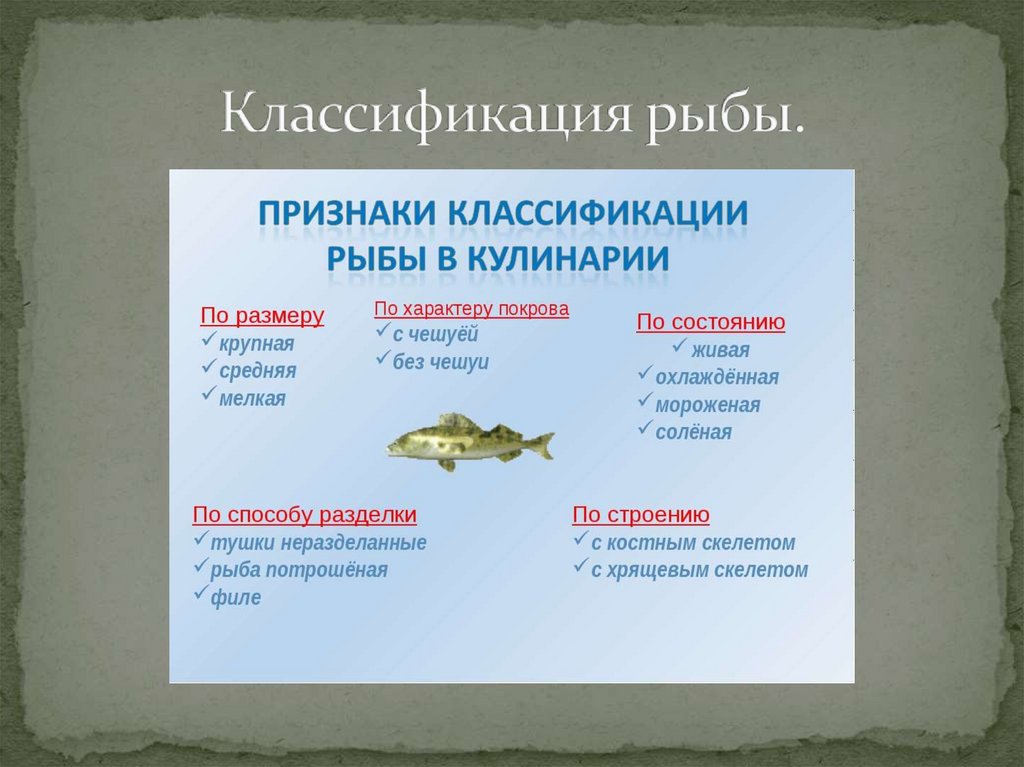 Классификация рыбы.