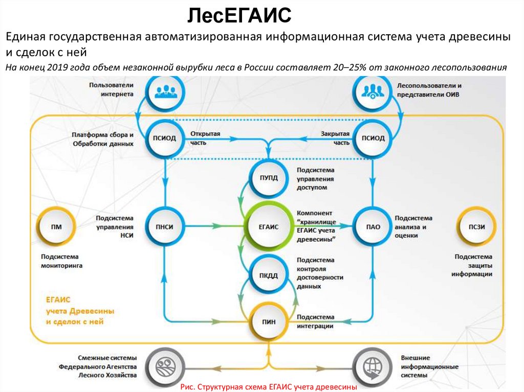 Лесегаис. ЕГАИС учёта древесины. ЛЕСЕГАИС учет древесины. Структурная схема ЕГАИС. ЕГАИС лес учет древесины и сделок с ней.