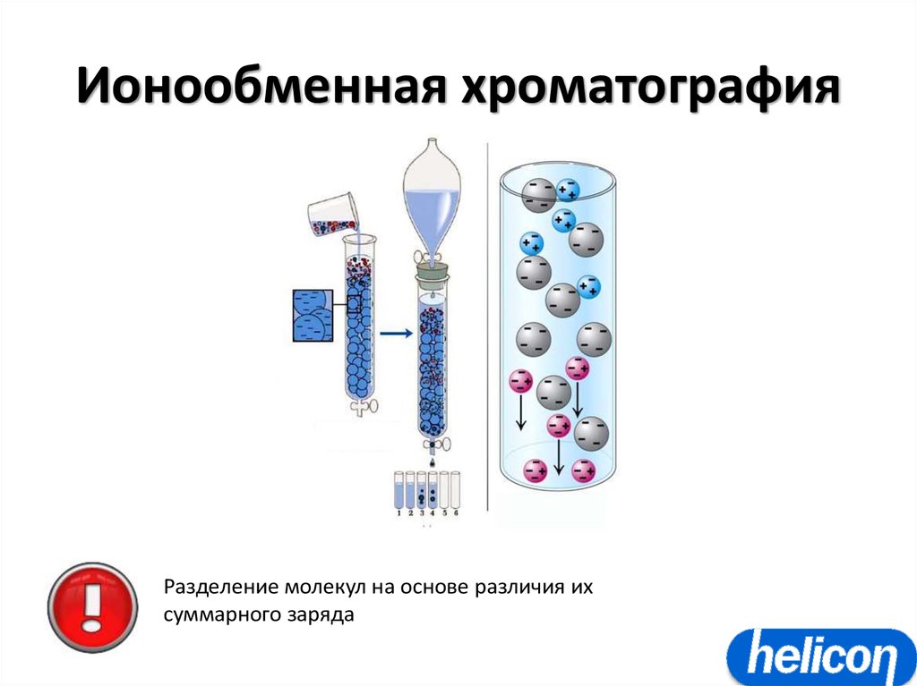 Ионная хроматография презентация