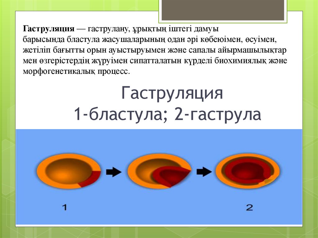 Масса алмасу процестері презентация