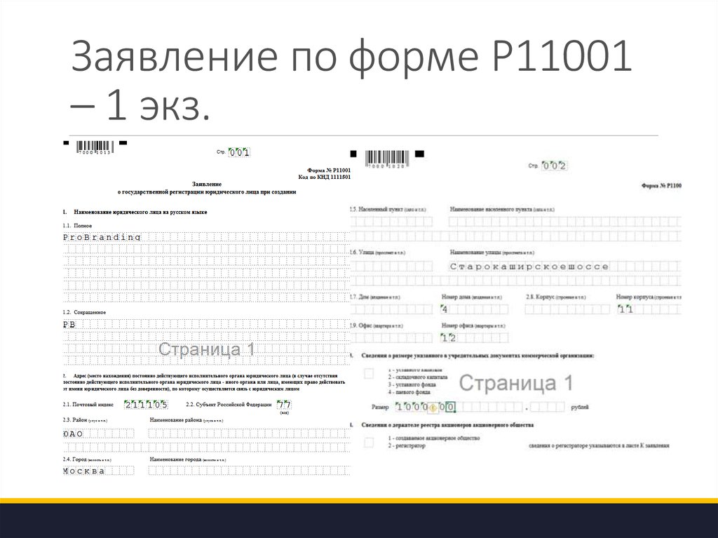 Образец форма no р11001