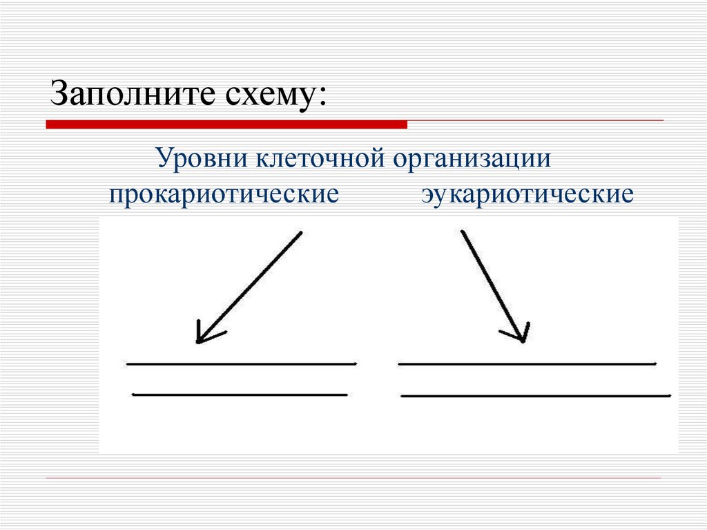 Заполните схему