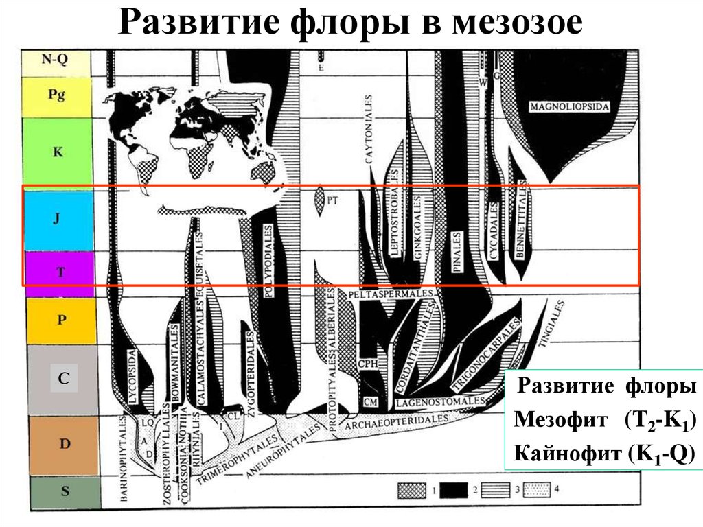 Развитие флоры. Палеотектонические реконструкции. Рисунок геологического периода Палеогеновая. Палеотектонический анализ. Историческая Геология.