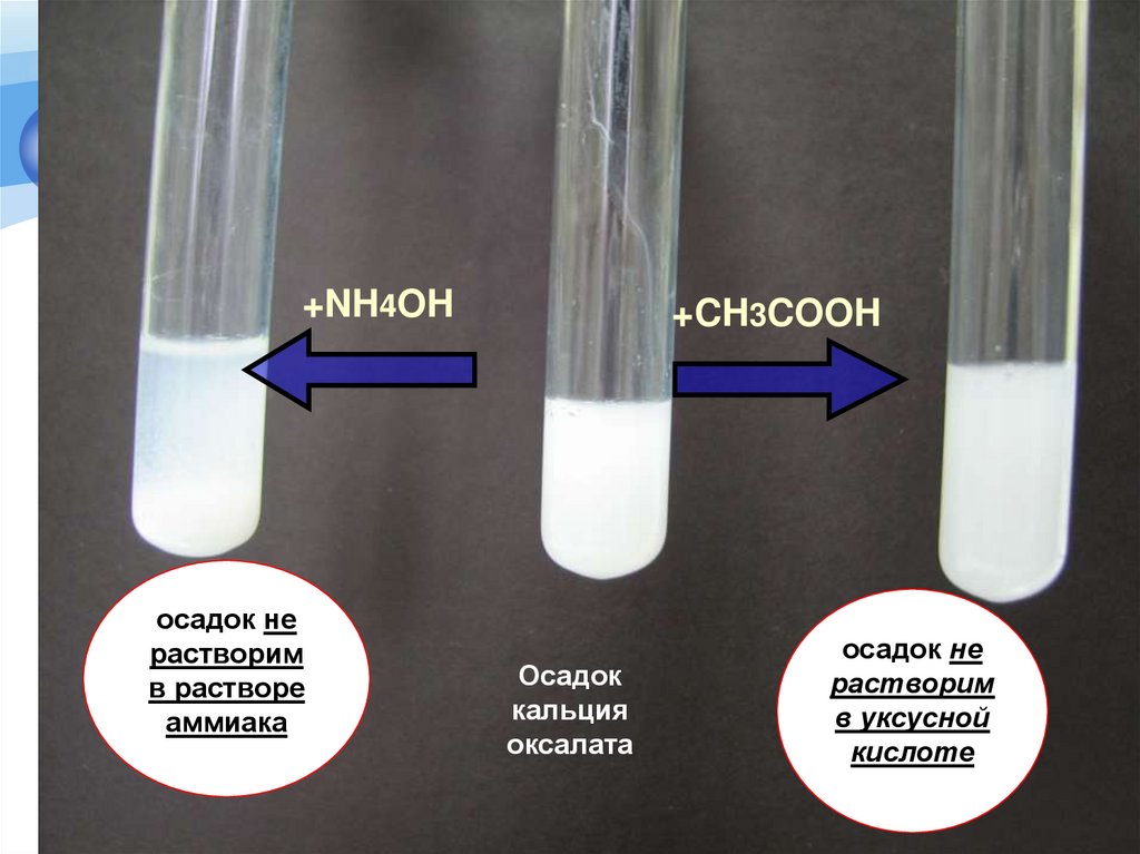 Реакция среды в водном растворе уксусной кислоты. Nh4oh осадок. Nh4 + + Oh- = nh4oh. Nh4oh строение. Раствор nh4oh.