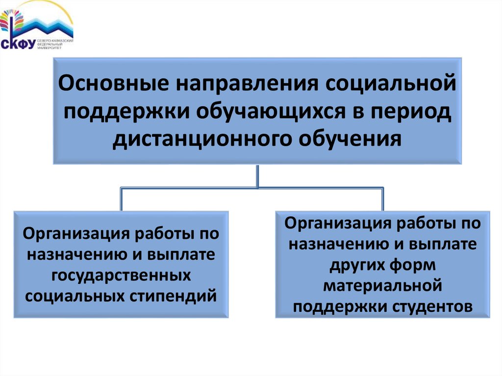 Шаблон презентации скфу