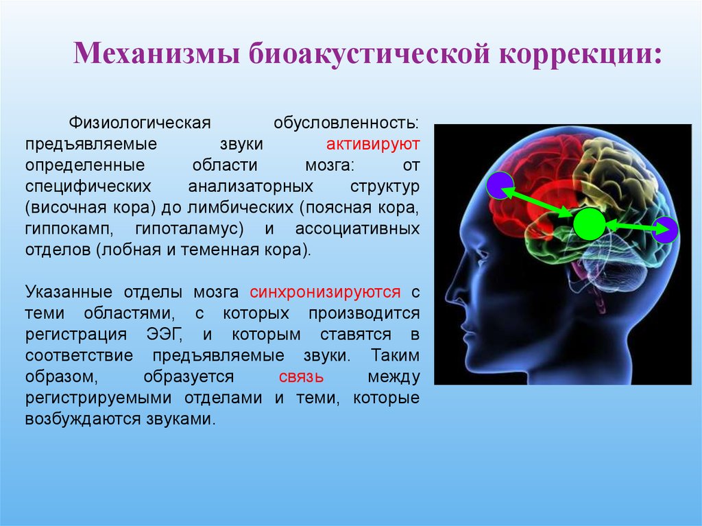 Мозги терапия инструкция. Комплекс биоакустической коррекции синхро-с. Биоакустическая коррекция. Аппарат биоакустическая коррекция мозга. Бак биоакустическая коррекция.