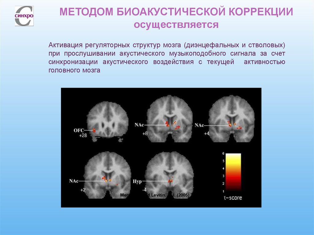 Акустическое подслушивание эффекты возникающие при подслушивании презентация