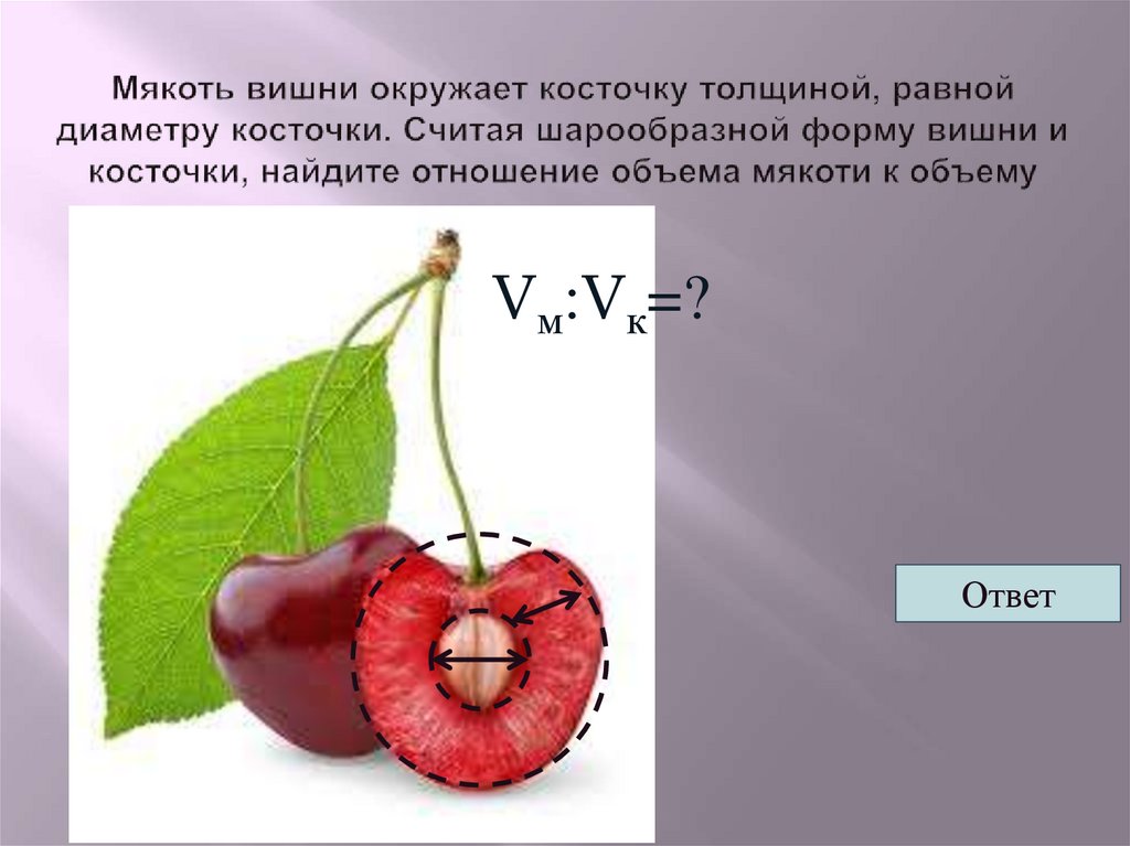 Сколько лет вишневой. Мякоть вишни окружает. Диаметр косточки вишни. Вишня с косточкой. Косточка вишни в разрезе.