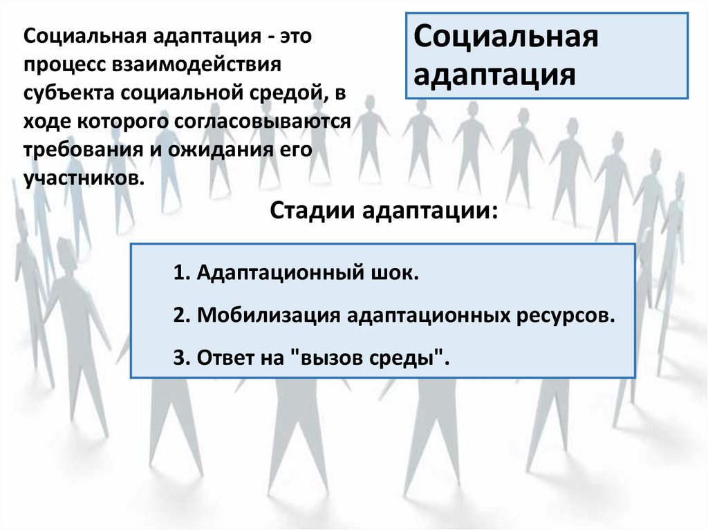 Социальная 4. Адаптация социальная это процесс взаимодействия. Кривая адаптации в иммиграции. Стадии адаптации при иммиграции. Субъекты соц адаптации.