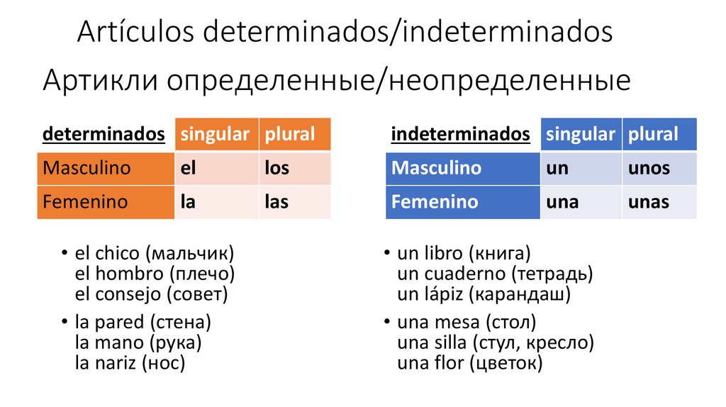 Cetosis una semana