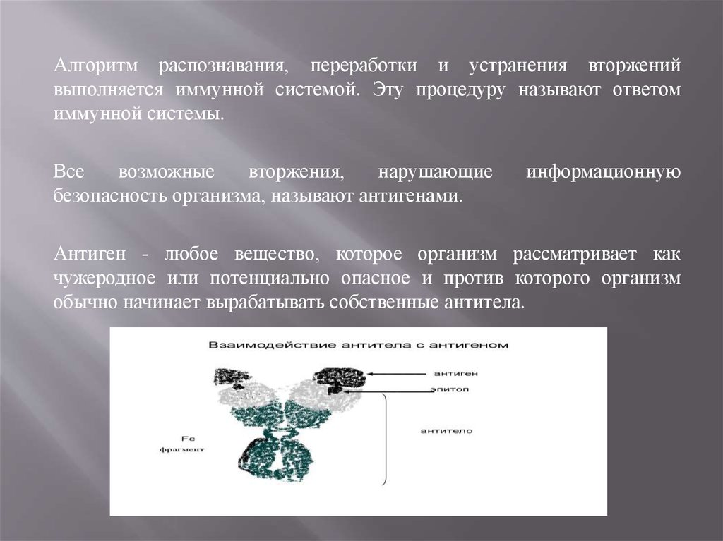 Биология алгоритм. Иммунологические системы информационная безопасность. Алгоритм распознавания одежды.