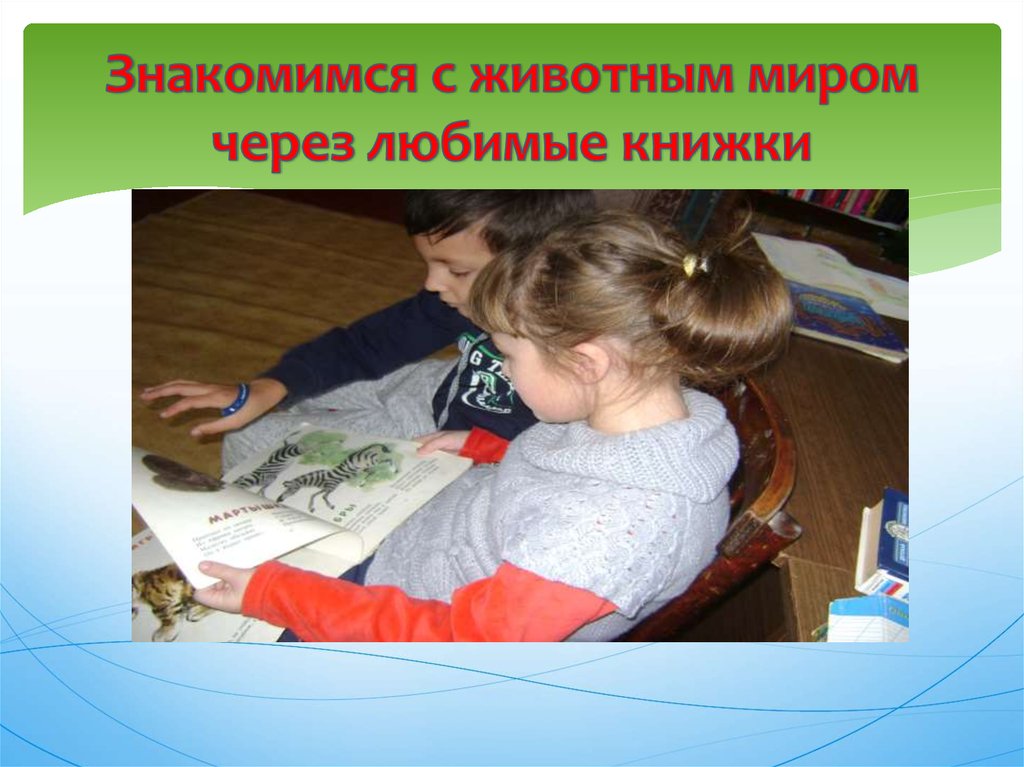 Знакомимся с животным миром через любимые книжки
