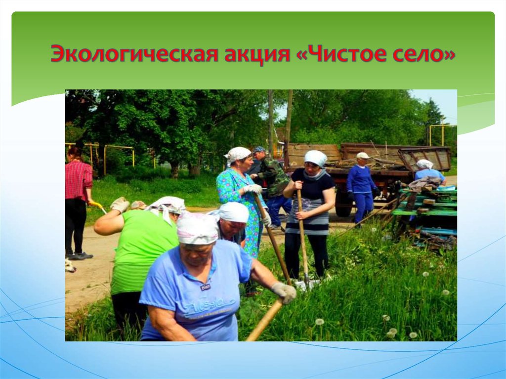 Экологическая акция «Чистое село»