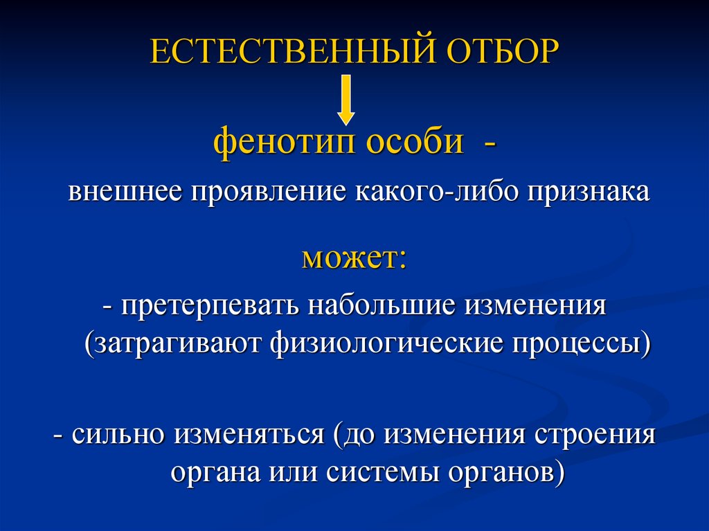 Естественный отбор презентация