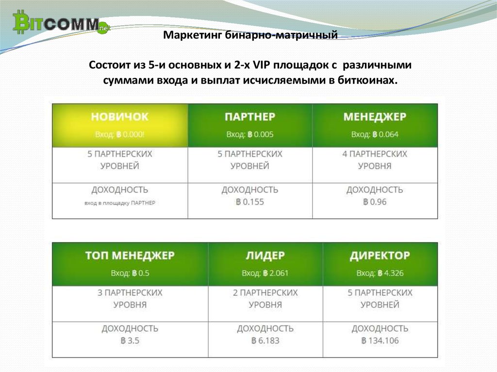 Бинарный бизнес план