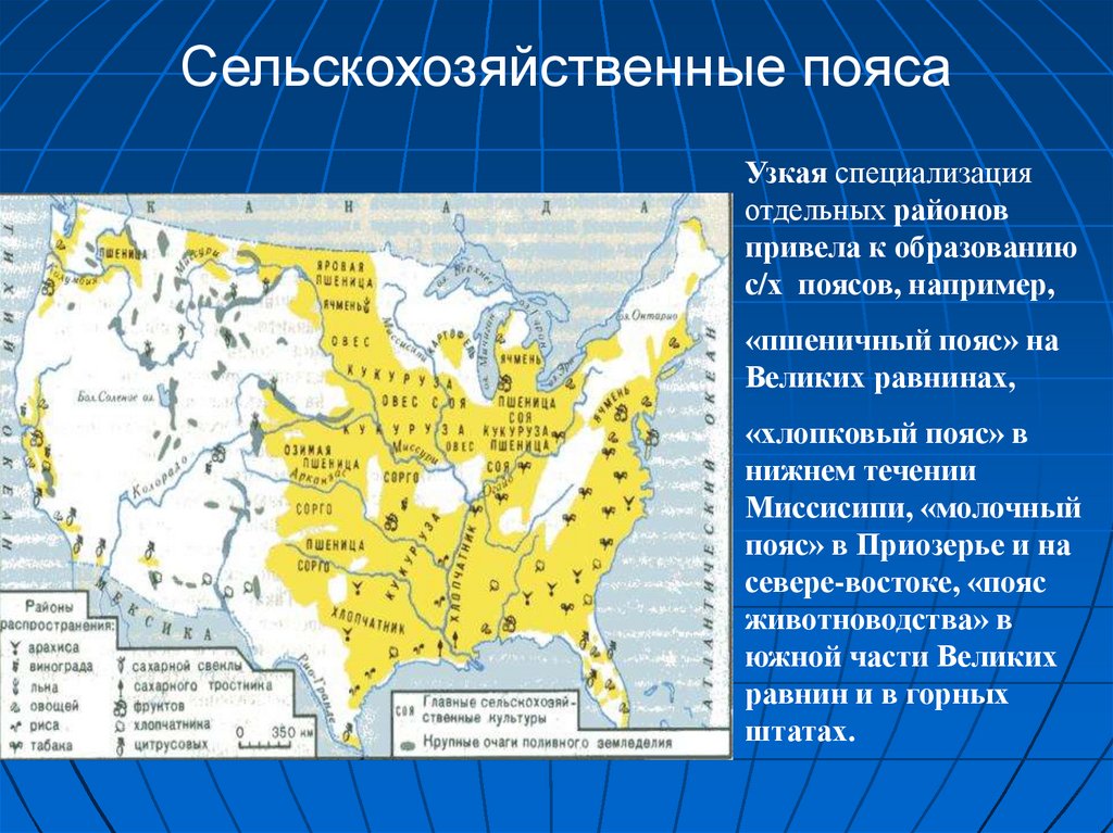 Главные сельскохозяйственные районы сша. Сельскохозяйственные пояса Северной Америки на карте. Сельское хозяйство США карта. Сельскохозяйственные районы США. Сельскохозяйственные пояса США.