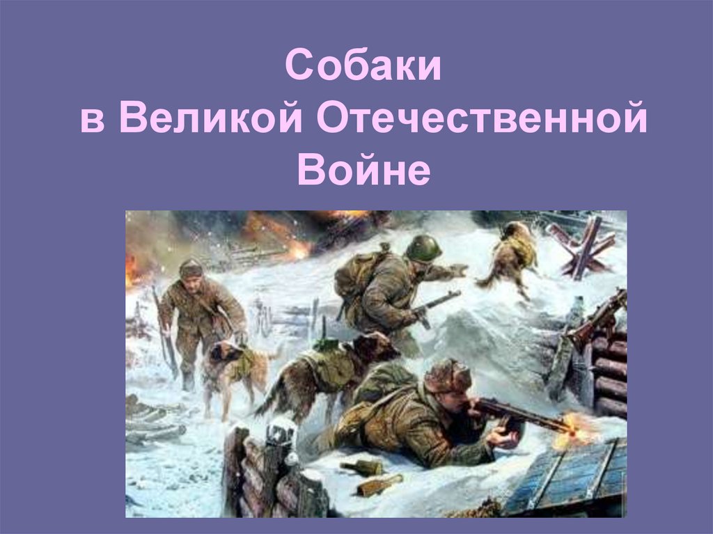 Собаки в Великой Отечественной Войне