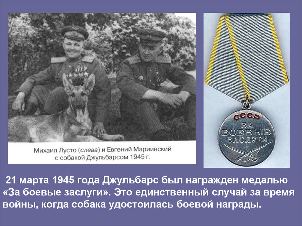 21 марта 1945 года Джульбарс был награжден медалью «За боевые заслуги». Это единственный случай за время войны, когда собака
