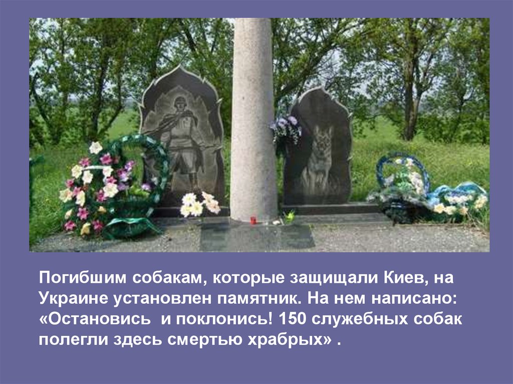 Погибшим собакам, которые защищали Киев, на Украине установлен памятник. На нем написано: «Остановись и поклонись! 150