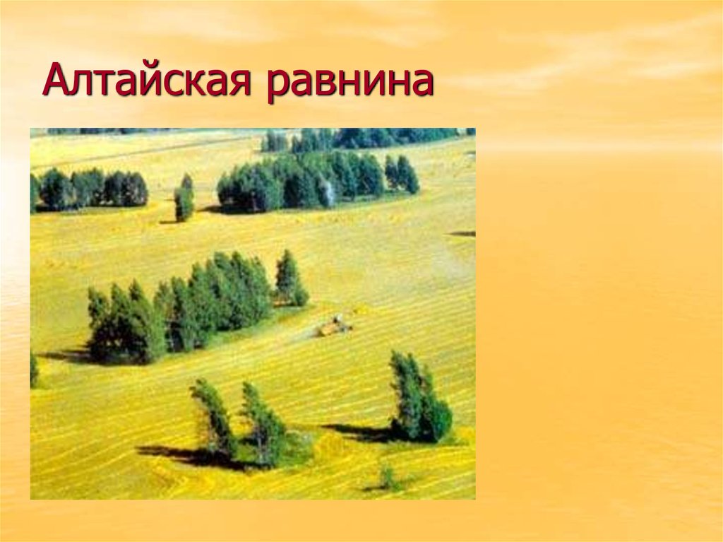 Алтайская равнина