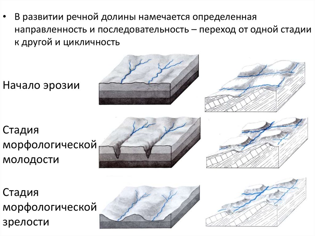 Развитие долины