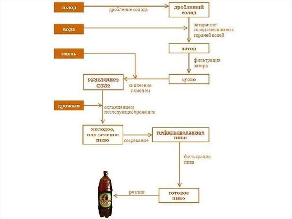 Пиво технологическая карта