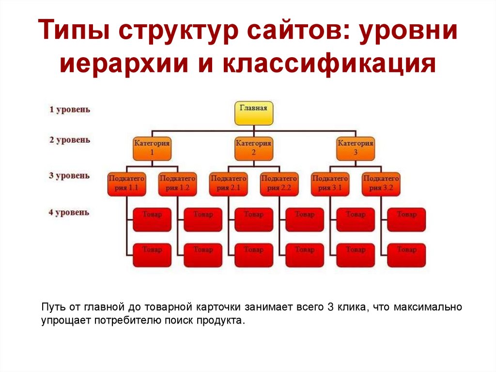 Типы структур сайтов: уровни иерархии и классификация
