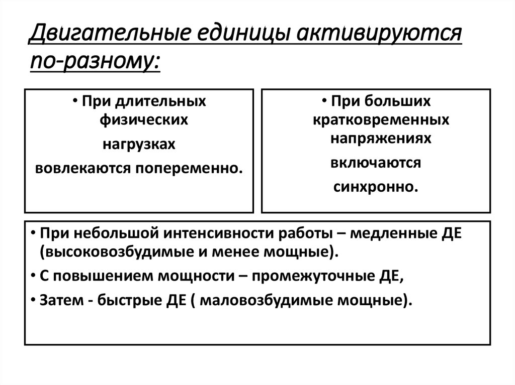 Двигательная единица это. Понятие о двигательной единице. Двигательные единицы включаются в работу. Оценка двигательных единиц. Пополнение двигательных единиц это.